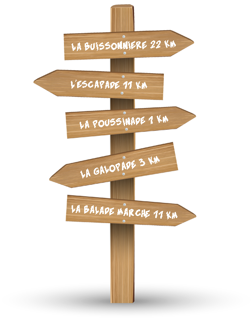 Les courses